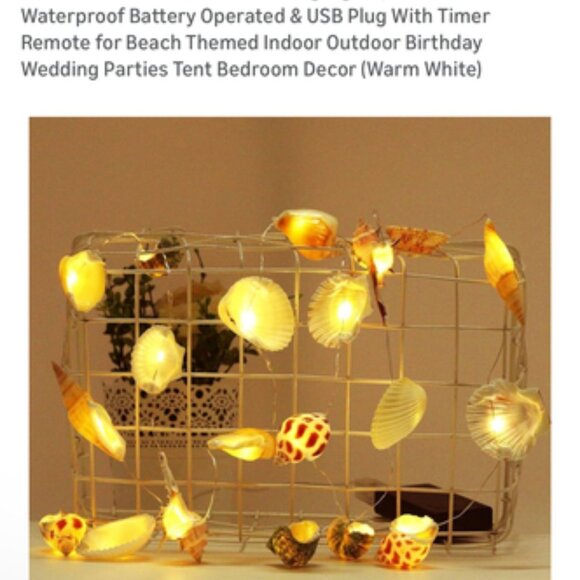 Ocean Seashell String Lights – 10ft 20 LED (Warm White) - Picture 1 of 2